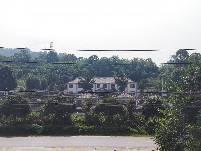 黄冈浠水县 200亩 其它林地 经营权转让