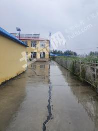 绥化安达市 1831.69平方米 商品房 使用权转让