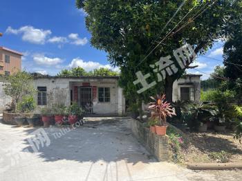 廣州南沙區(qū) 390平方米 農(nóng)村宅基地 使用權(quán)轉(zhuǎn)讓