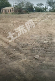 天津滨海新区 3000平方米 空闲地 使用权出租