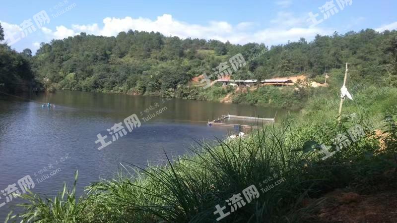 梅州兴宁市 77.93亩 水库水面 经营权转包