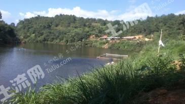 梅州兴宁市 77.93亩 水库水面 经营权转包