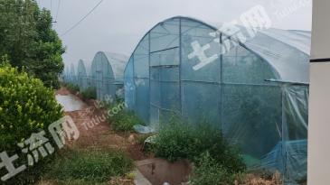 渭南大荔县 706.69亩 水浇地 经营权出租