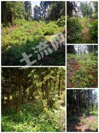 曲靖罗平县 2亩 农村宅基地 使用权转让