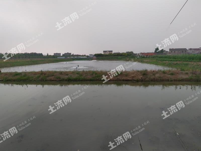 上海浦东新区 9亩 坑塘水面 经营权出租