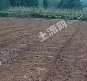 南充蓬安县 200亩 水浇地 经营权出租