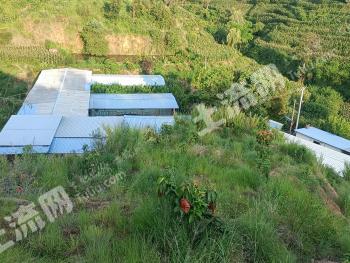 攀枝花仁和区 9.08亩 设施农用地 经营权转让