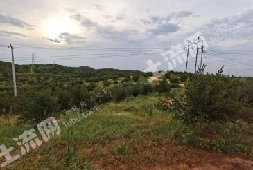 永州祁阳县 190.69亩 其它林地 经营权转让