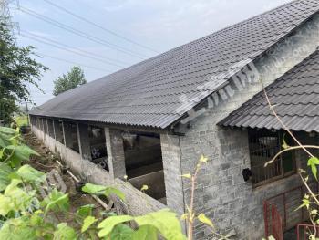 衢州龙游县 4.6亩 设施农用地 经营权出租