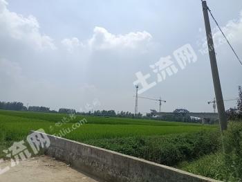 安庆宿松县 3600亩 水田 经营权出租