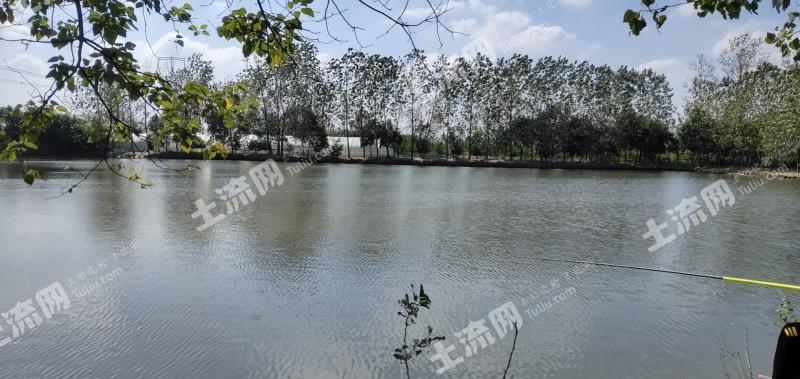 滁州全椒县 62.1亩 坑塘水面 经营权出租