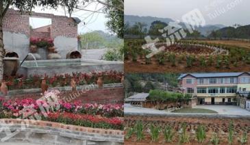 重庆綦江区 12000平方米 度假山庄 使用权出租