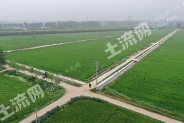 岳阳华容县 500亩 水田 经营权出租