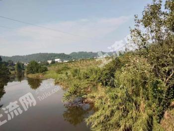 资阳安岳县300亩其它园地经营权转让