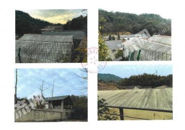 建德市寿昌 8060平方米 养殖场 使用权出租