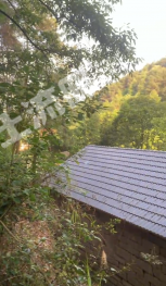 重慶綦江區(qū) 140平方米 農(nóng)村宅基地 使用權(quán)出租