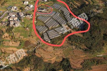 重庆万盛区 35.84亩 果园 经营权转包