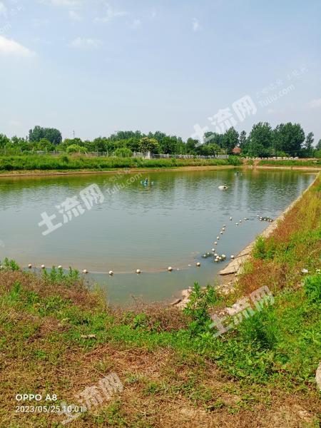 滁州定远县 60亩 坑塘水面 经营权转包