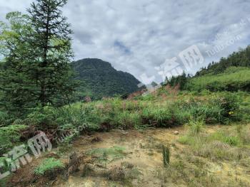 昭通水富市 200亩 设施农用地 经营权出租