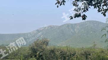 保定满城区 12000亩 荒山 使用权出租