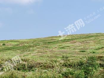 遵义桐梓县 600亩 其它园地 经营权转包