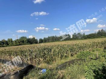 菏泽牡丹区 67823平方米 厂房 使用权转让