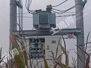 咸阳淳化县 420亩 水浇地 经营权转让