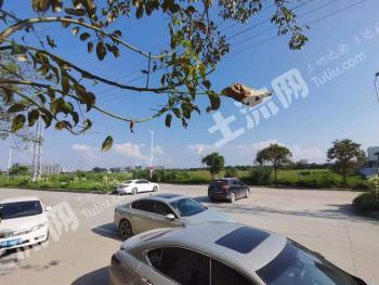 广东肇庆高要区 600000平方米 厂房 使用权转让