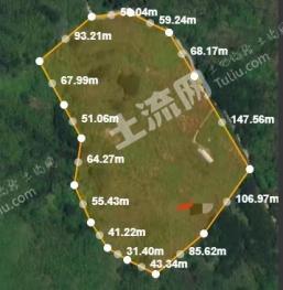桂林兴安县 90.59亩 果园 经营权出租