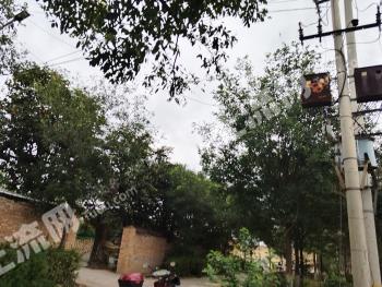 渭南澄城县 5.1亩 城镇住宅用地 使用权合作