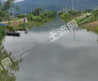 肇庆鼎湖区 48亩 坑塘水面 经营权转让