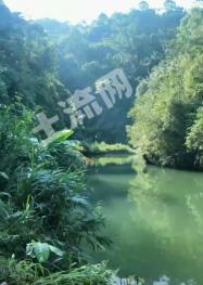 来宾金秀瑶族自治县 30亩 坑塘水面 经营权出租