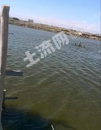 巴音郭楞焉耆回族自治县 500亩 坑塘水面 经营权出租