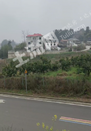 重庆忠县 300平方米 农村宅基地 使用权出租