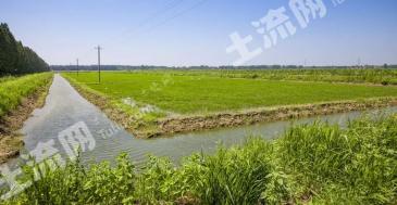 黄冈浠水县 57.42亩 水田 经营权出租