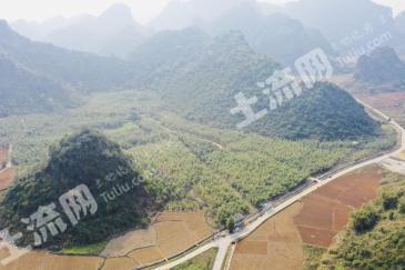 南宁隆安县 140亩 竹林地 经营权转让