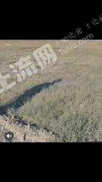 乌鲁木齐头屯河区 300亩 空闲地 使用权出租