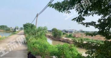 肇庆鼎湖区 33亩 坑塘水面 经营权出租