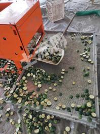 益阳沅江市 800亩 灌木林地 经营权出租