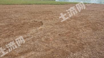 济南商河县 5亩 水浇地 经营权出租