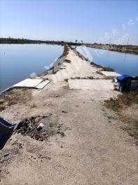 锦州凌海市 93亩 坑塘水面 经营权转让