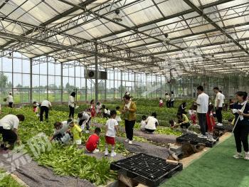 东营东营区 95.32亩 设施农用地 经营权转让