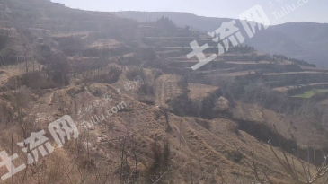 三门峡灵宝市 300亩 旱地 经营权出租