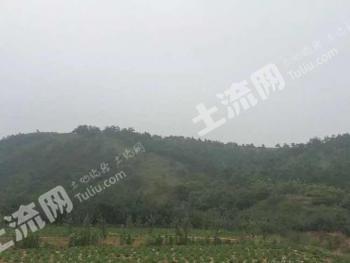 烟台莱阳市 100.36亩 灌木林地 经营权出租