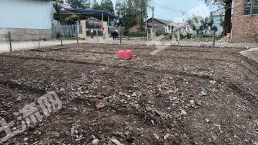 常德安乡县 0.25亩 农村宅基地 使用权出租