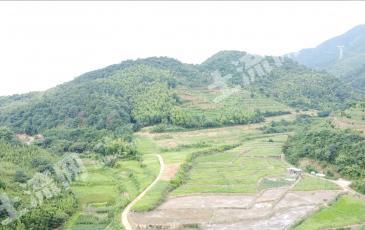 绍兴柯桥区 145.09亩 其它园地 经营权合作