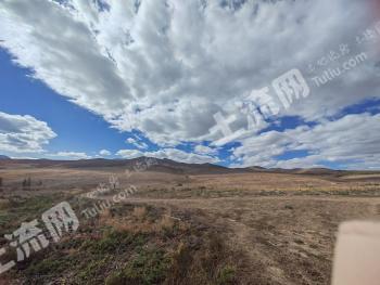 赤峰巴林左旗 2000亩 乔木林地 经营权出租