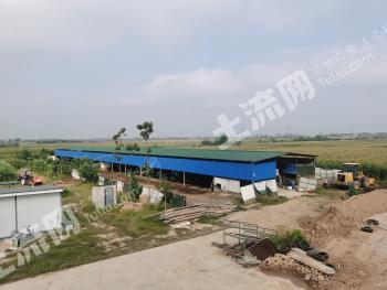 咸阳兴平市 54亩 设施农用地 经营权转让