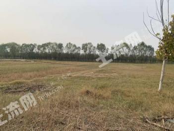 济南济阳区 97亩 荒地 使用权出租