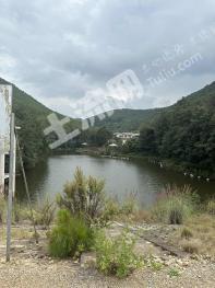 楚雄武定县 12.66亩 农村宅基地 使用权出租